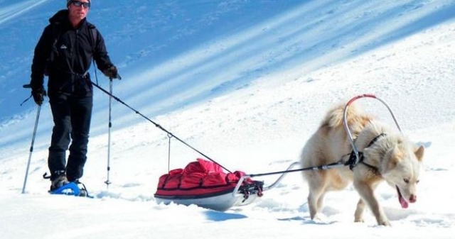  Cani Raquetas de nieve en los Pirineos 